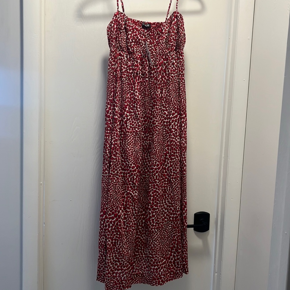 NWT J-Crew Empire Waist Strawberry Print Dress